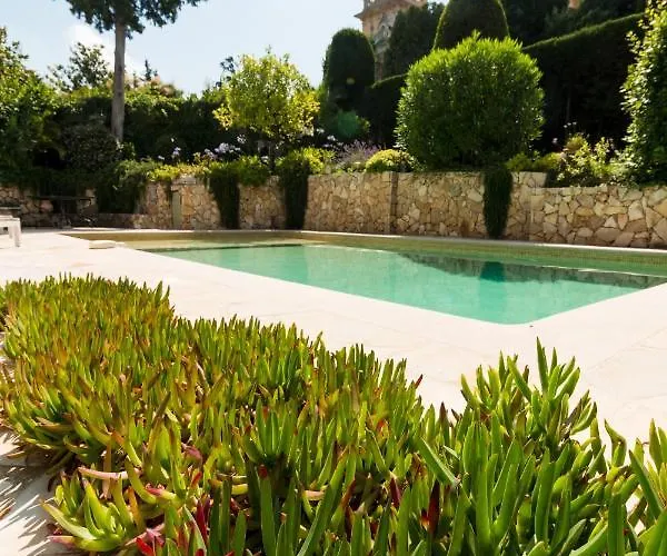 Tsavorite - Californie * Cannes