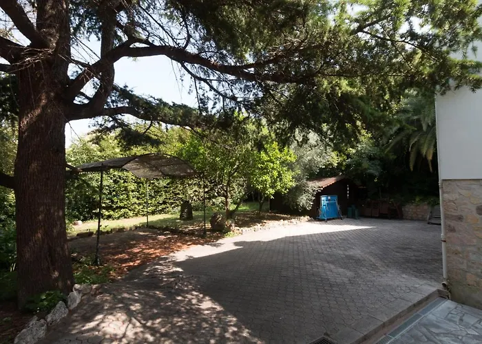 Tsavorite - Californie Villa Cannes